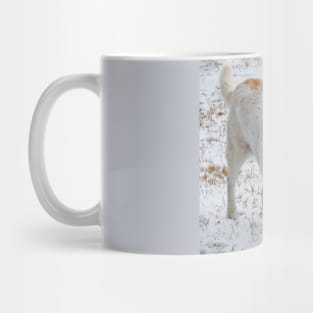 Australian Cattle dog in the snow Mug